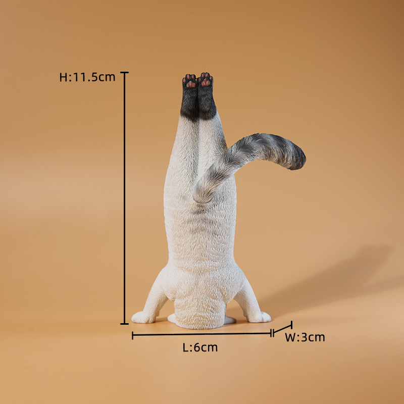 Yoga Fitness Tva - 1/6 Scale Mini Simulated Fitness Cat