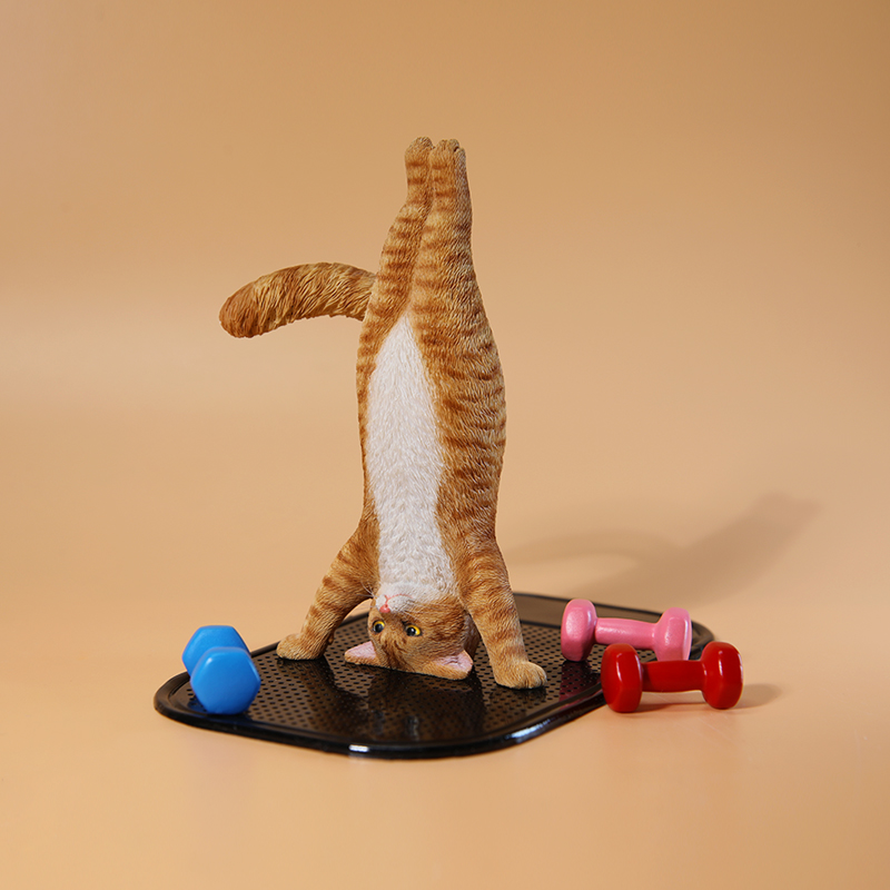 1/6 Scale Mini Simulated Fitne - Yoga Fitness Tva review and price