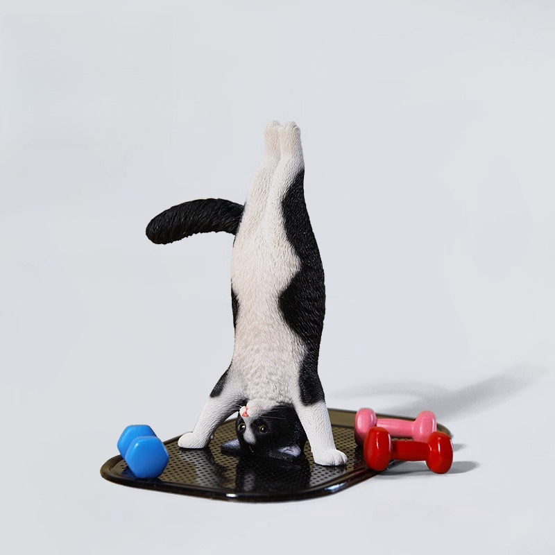 1/6 Scale Mini Simulated Fitne - Yoga Fitness Tva review and price