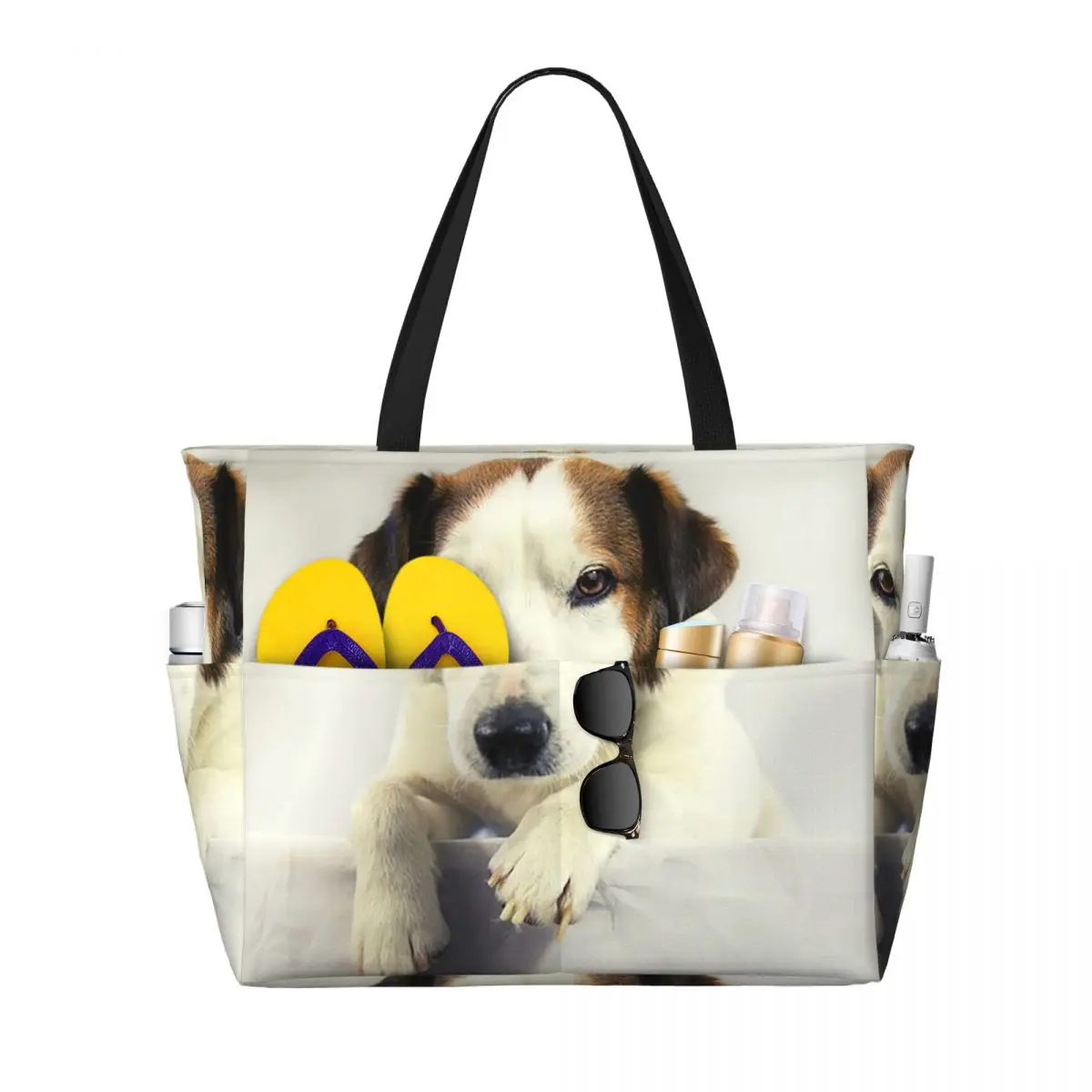 Dog Jack Russell Terrier Photo - Yoga Fitness Gym Photos review and price