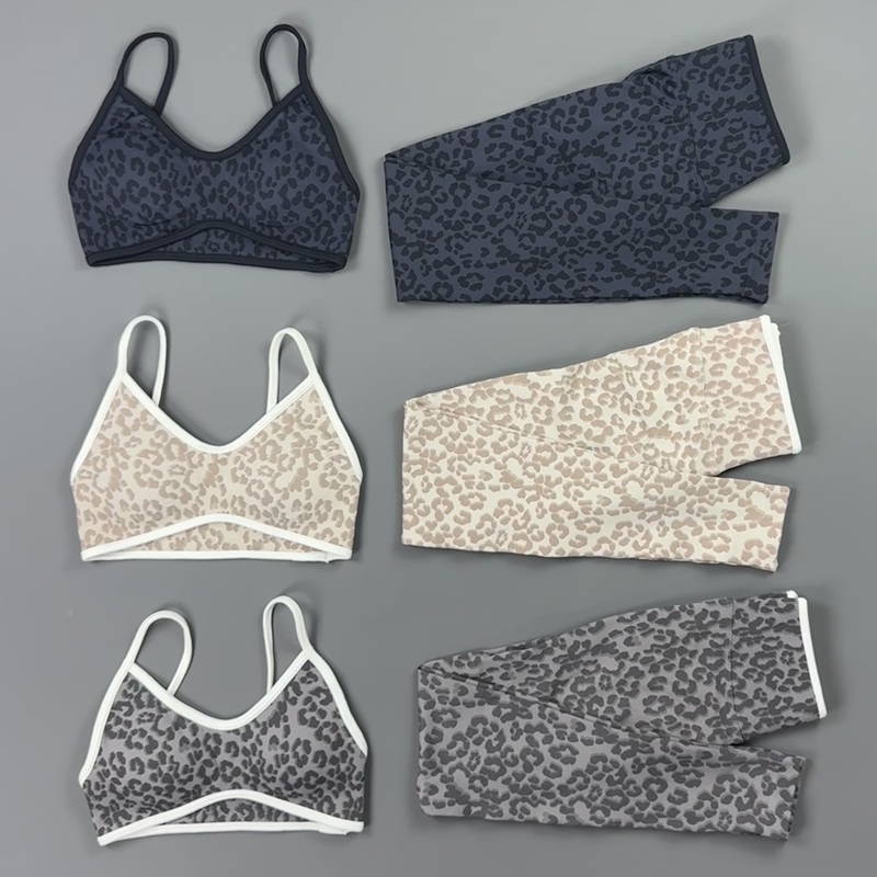 2 Pieces Yoga Set Women Leopar - Yoga Fitness Kleidung review and price